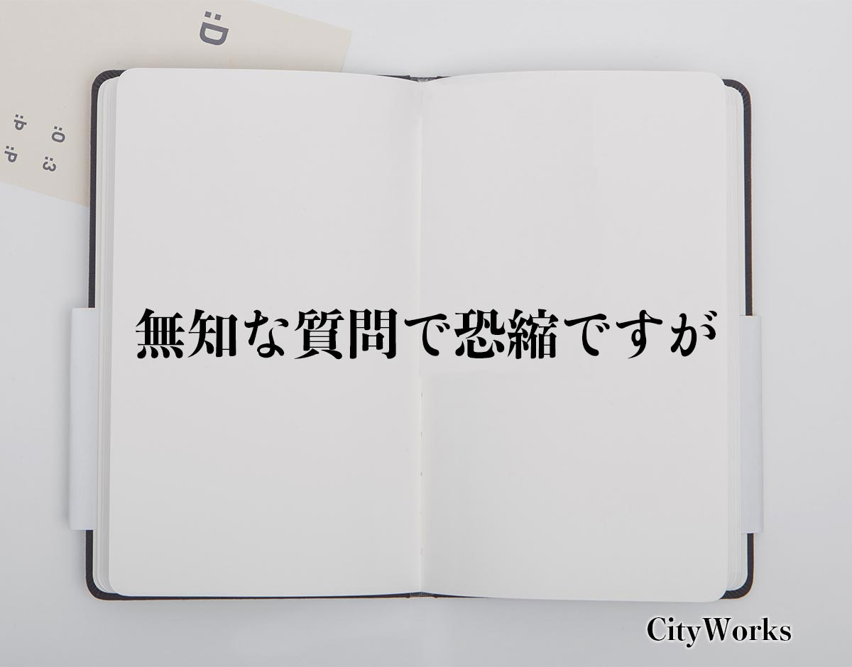 「無知な質問で恐縮ですが」とは？