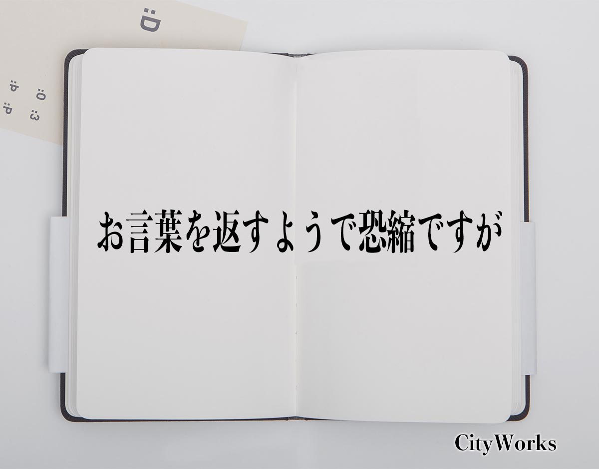 「お言葉を返すようで恐縮ですが」とは？