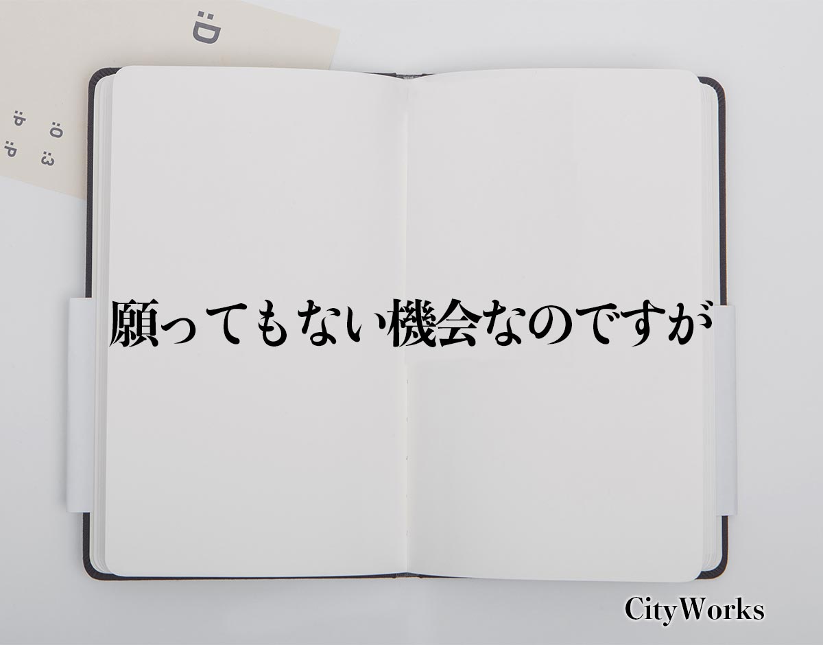 「願ってもない機会なのですが」とは？