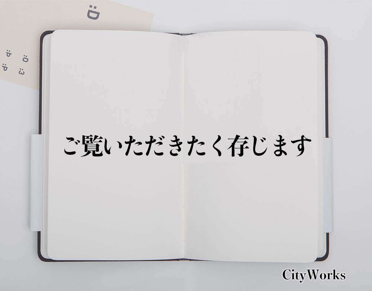 「ご覧いただきたく存じます」とは？