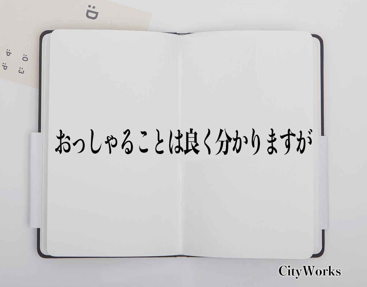 「おっしゃることは良く分かりますが」とは？