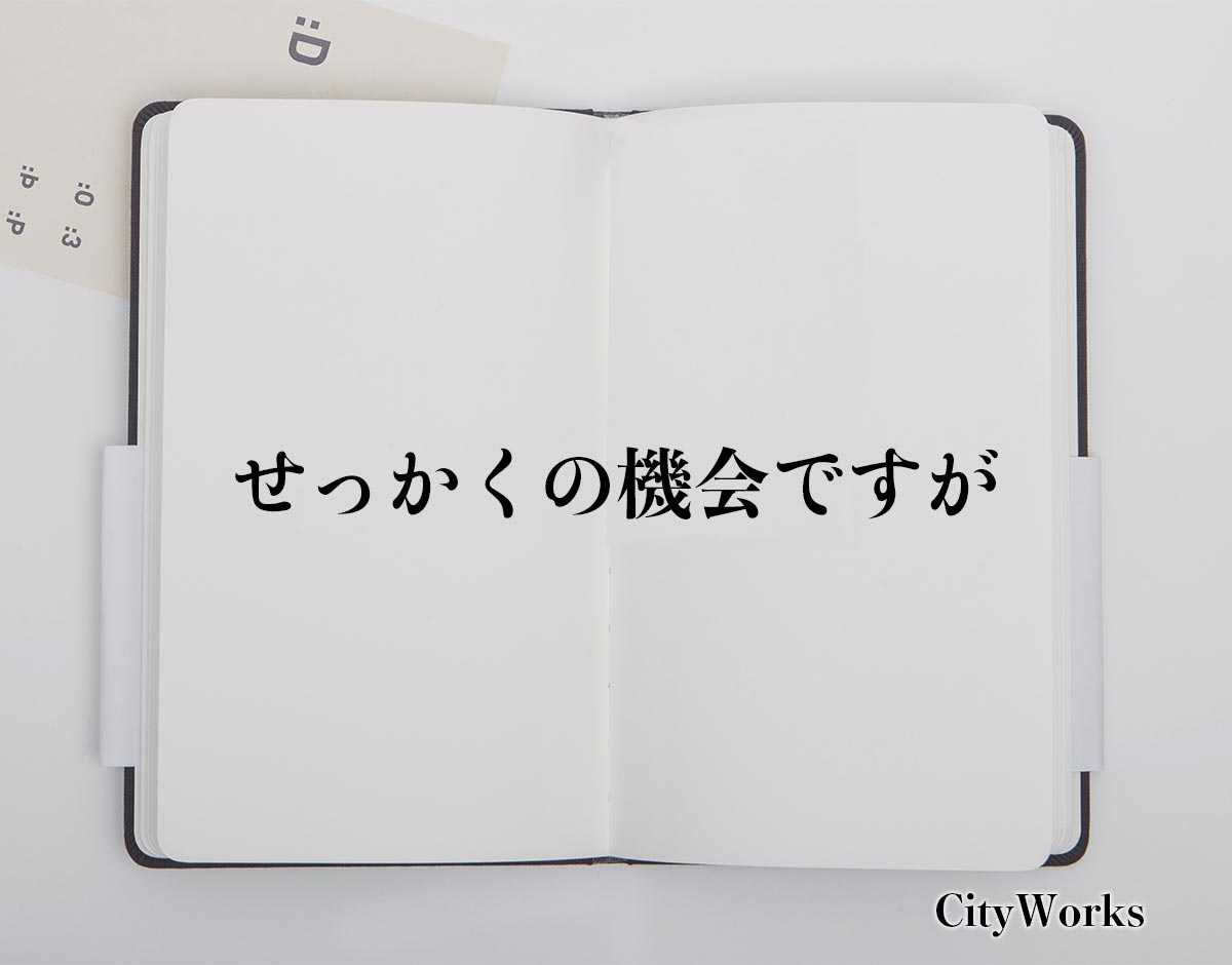 「せっかくの機会ですが」とは？