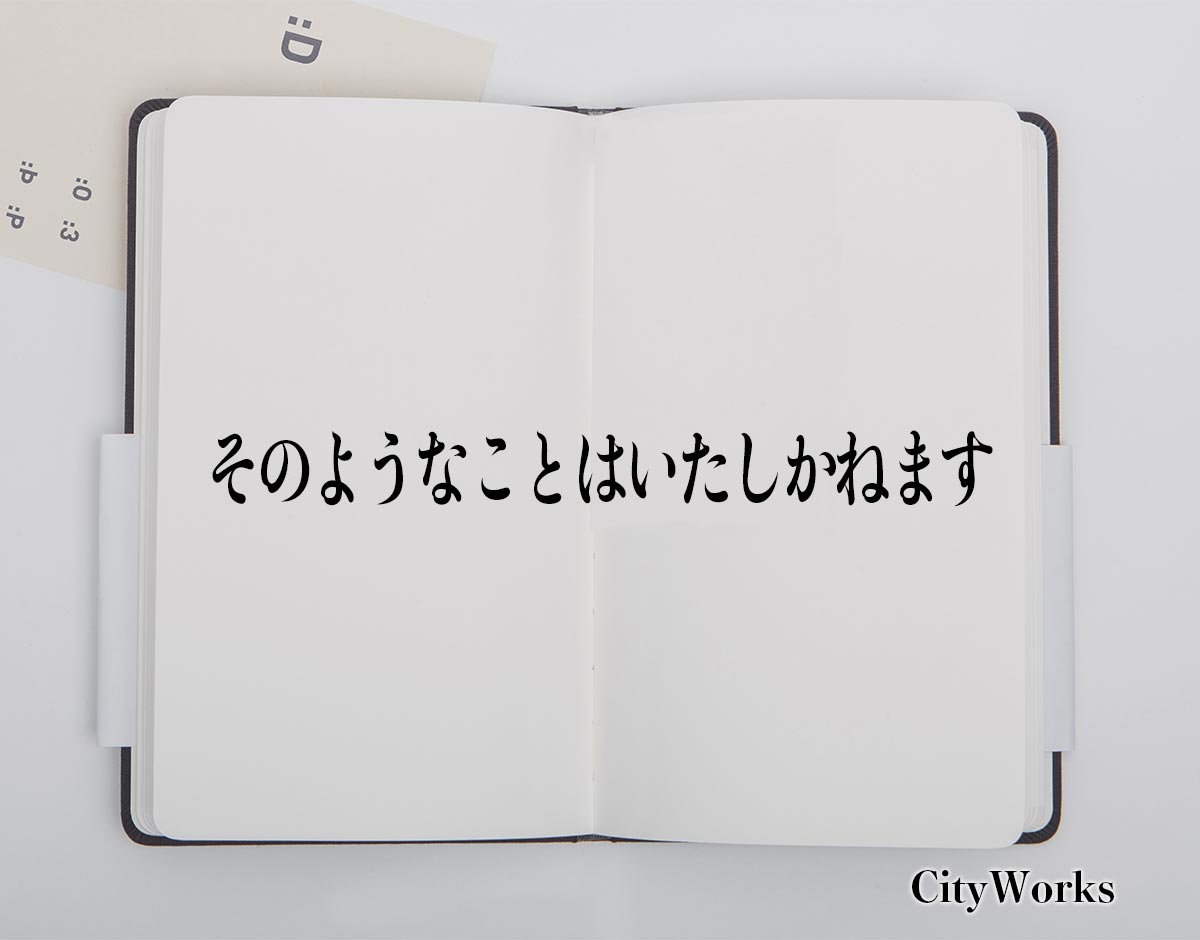 「そのようなことはいたしかねます」とは？