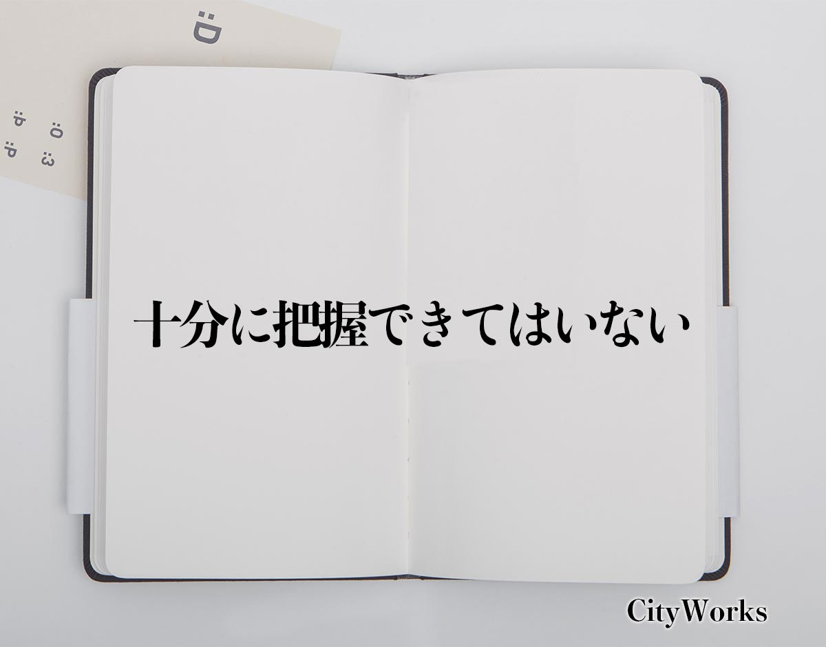 「十分に把握できてはいない」とは？