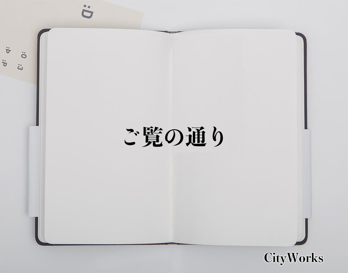 「ご覧の通り」とは？