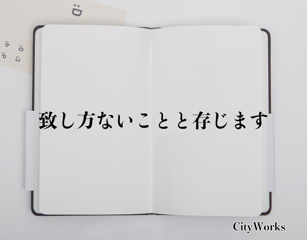 「致し方ないことと存じます」とは？