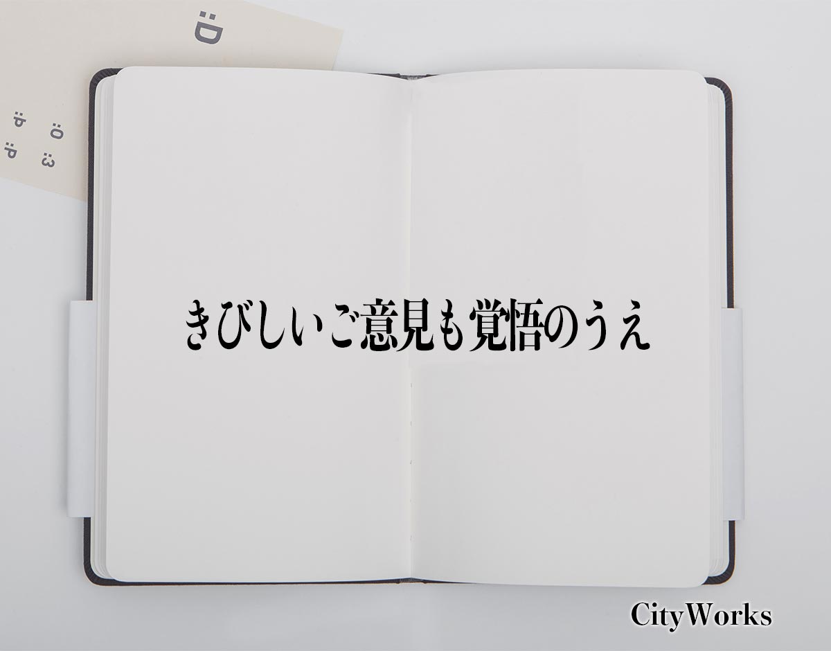 「きびしいご意見も覚悟のうえ」とは？