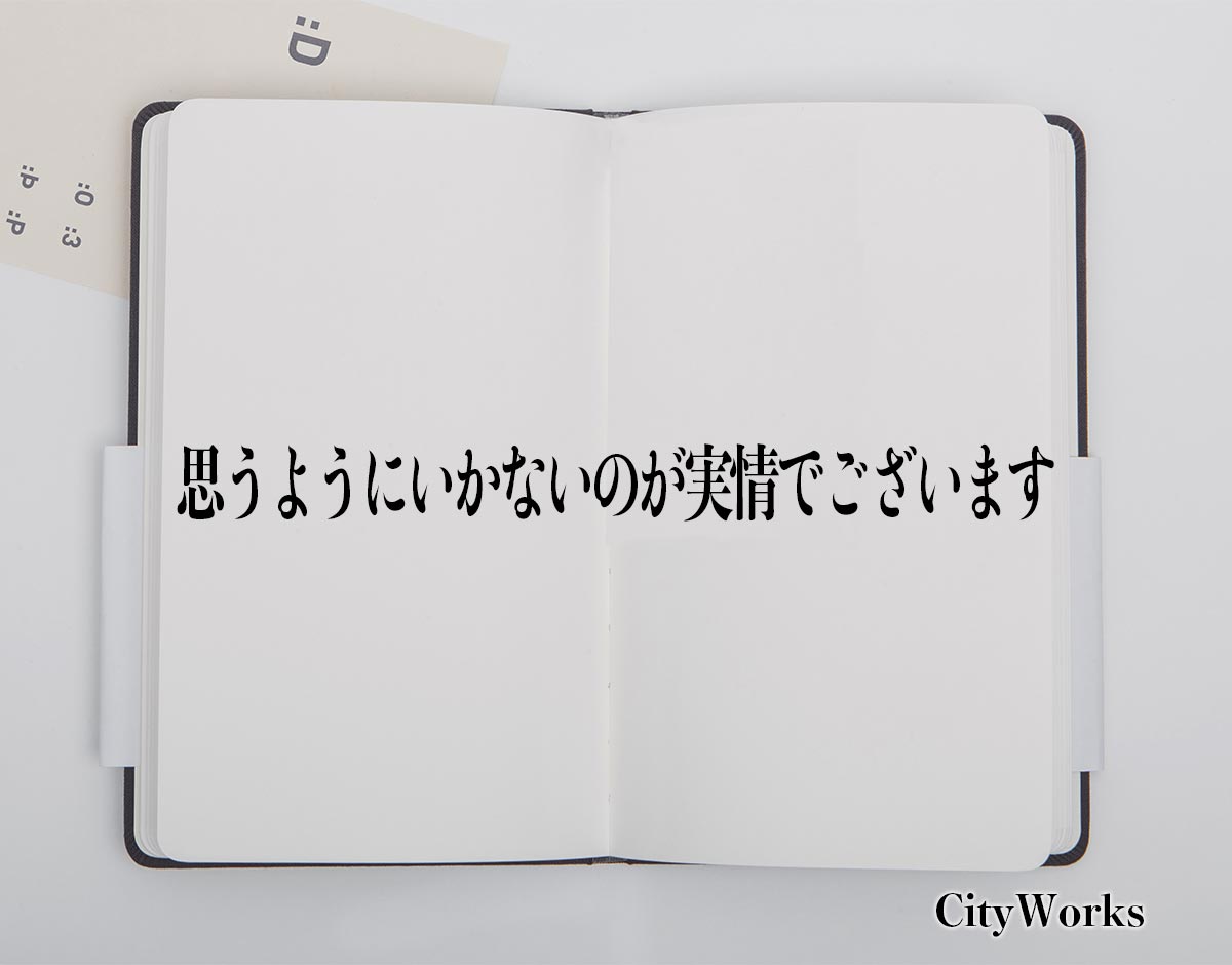 「思うようにいかないのが実情でございます」とは？