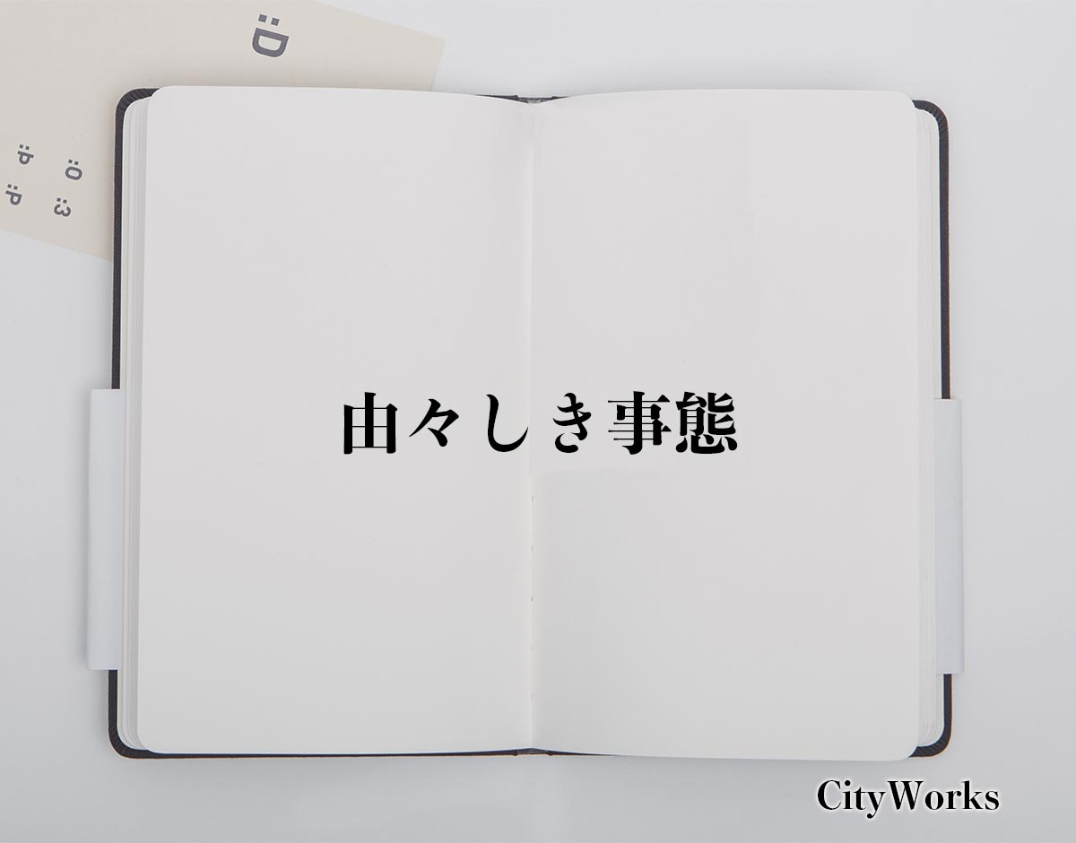 由 々 しき 事態