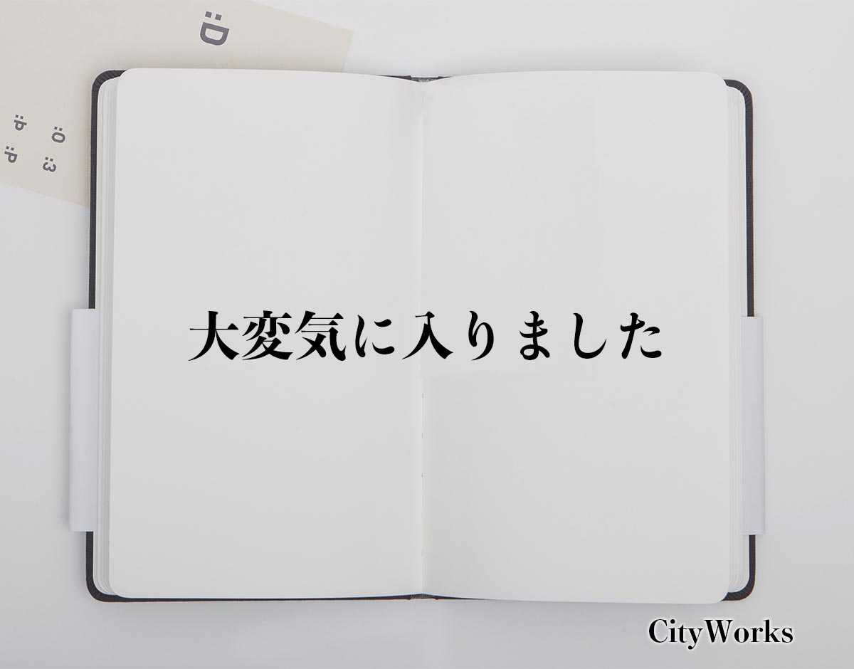 「大変気に入りました」とは？