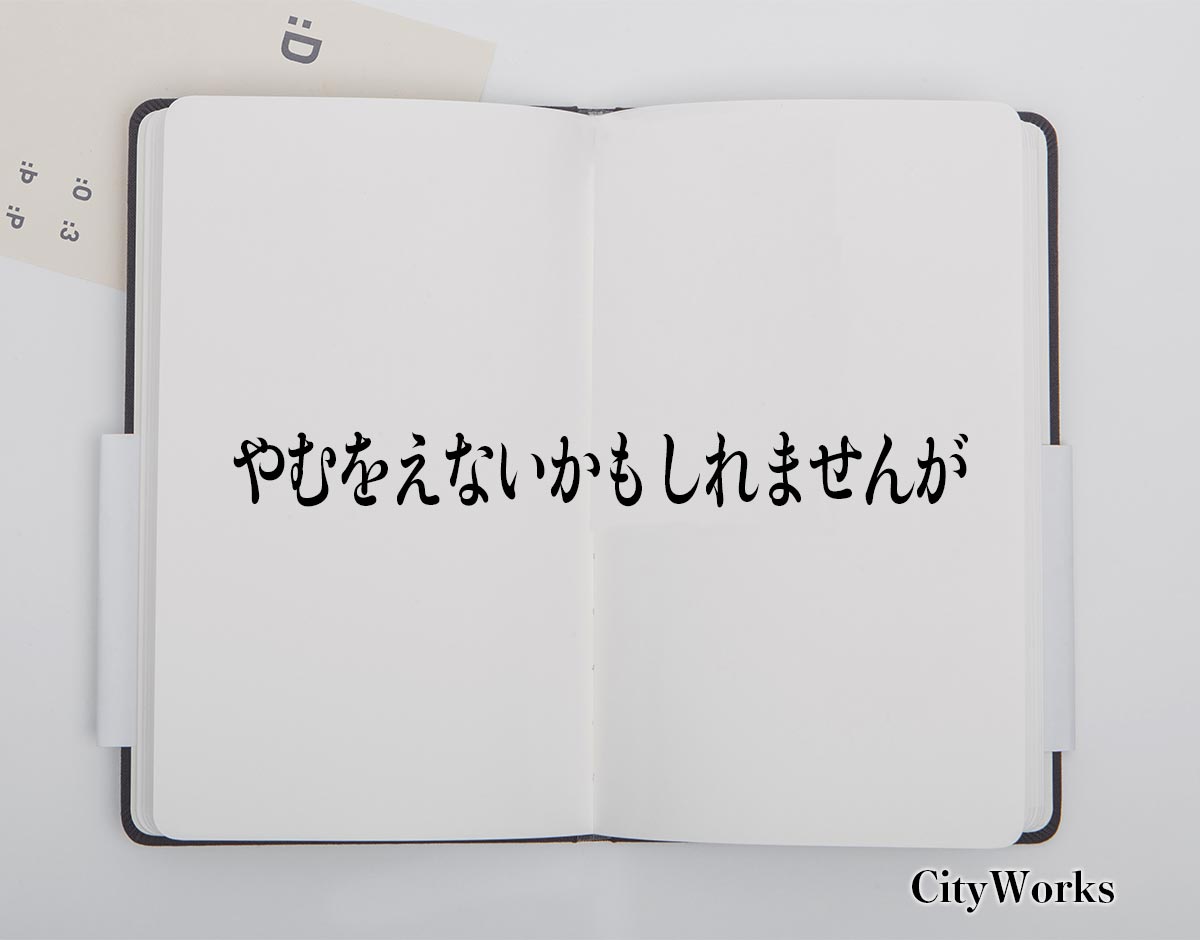 「やむをえないかもしれませんが」とは？