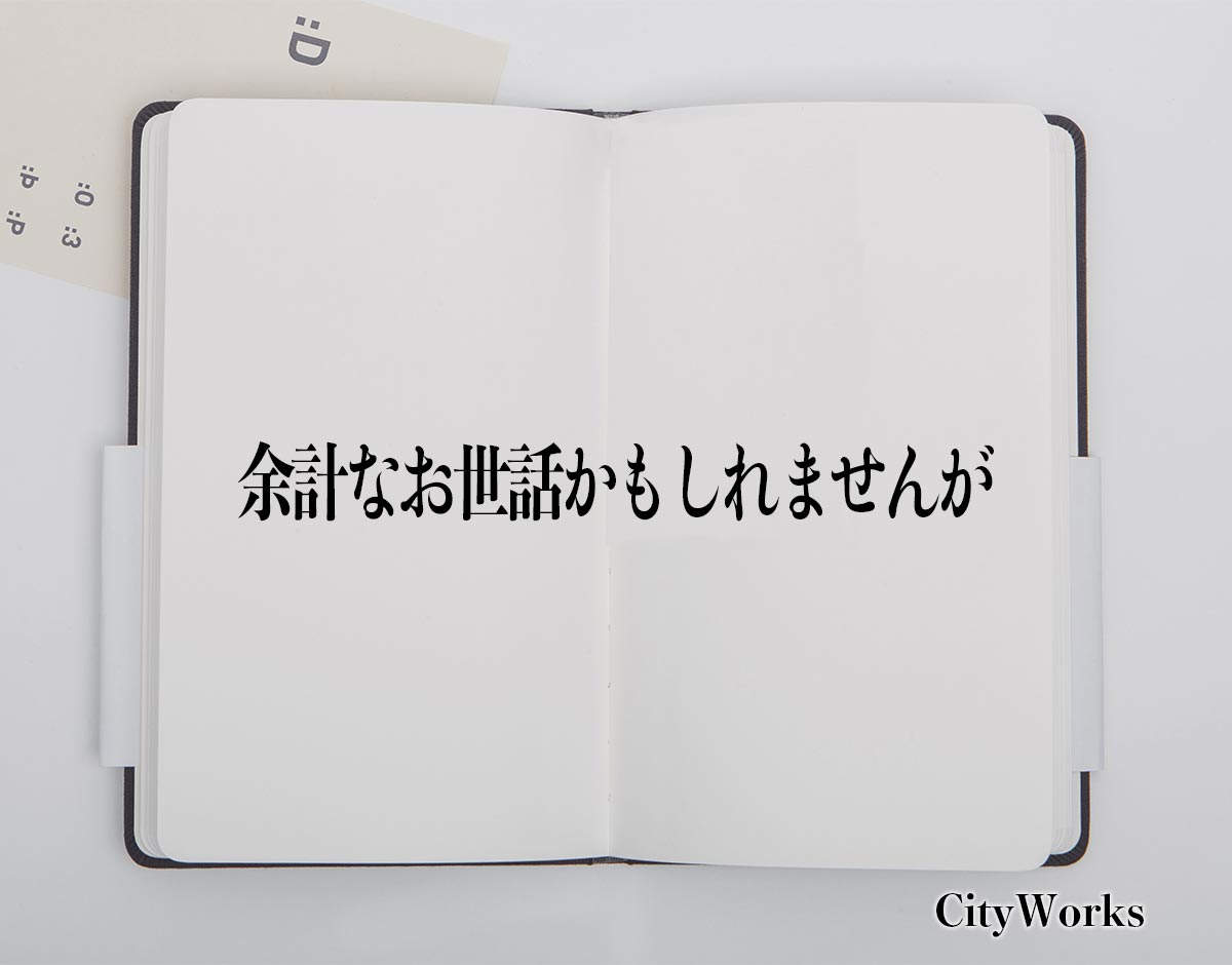 「余計なお世話かもしれませんが」とは？