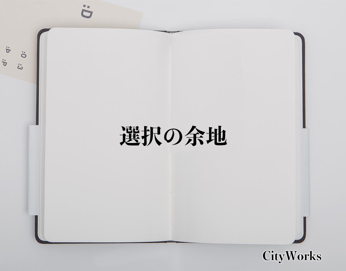 「選択の余地」とは？